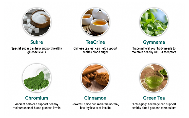 Gluco6 Review 2025 – The Natural Solution for Healthy Blood Sugar Support Key natural ingredients used in Gluco6 for glucose support