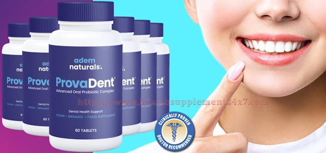 provadent 1