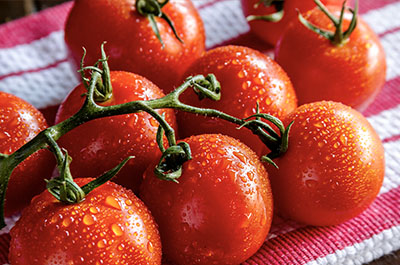 Lycopene antioxidant ingredient in TitanFlow Prostate Support