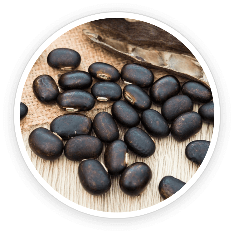 Mucuna Pruriens and Maca Root ingredients used in Quietum Plus supplement