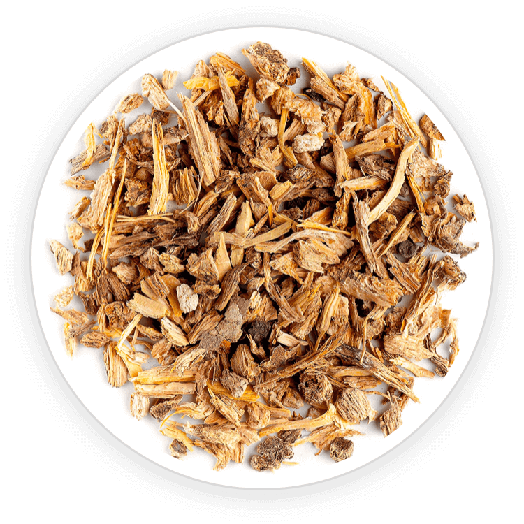 Dong Quai herbal ingredient used in Quietum Plus dietary supplement