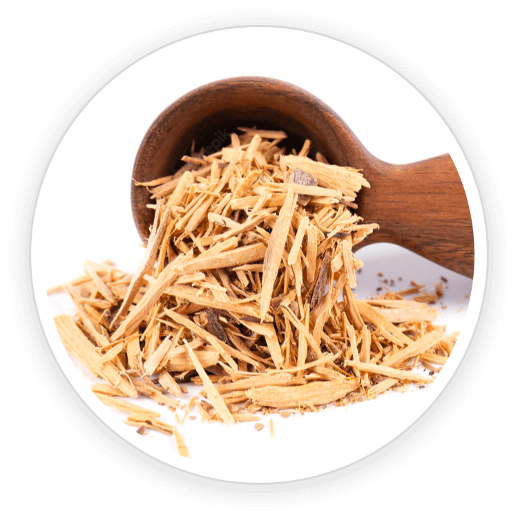 Muira Puama and Ginger plant extracts featured in Quietum Plus ingredients
