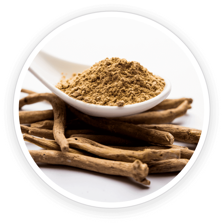 Ashwagandha and Piperine ingredients supporting overall wellness in Quietum Plus