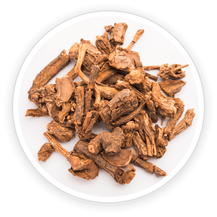 Sarsaparilla Root and Asparagus extracts used in Quietum Plus supplement