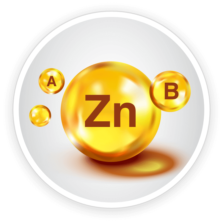 Vitamin A, B complex and Zinc nutrients included in Quietum Plus formula