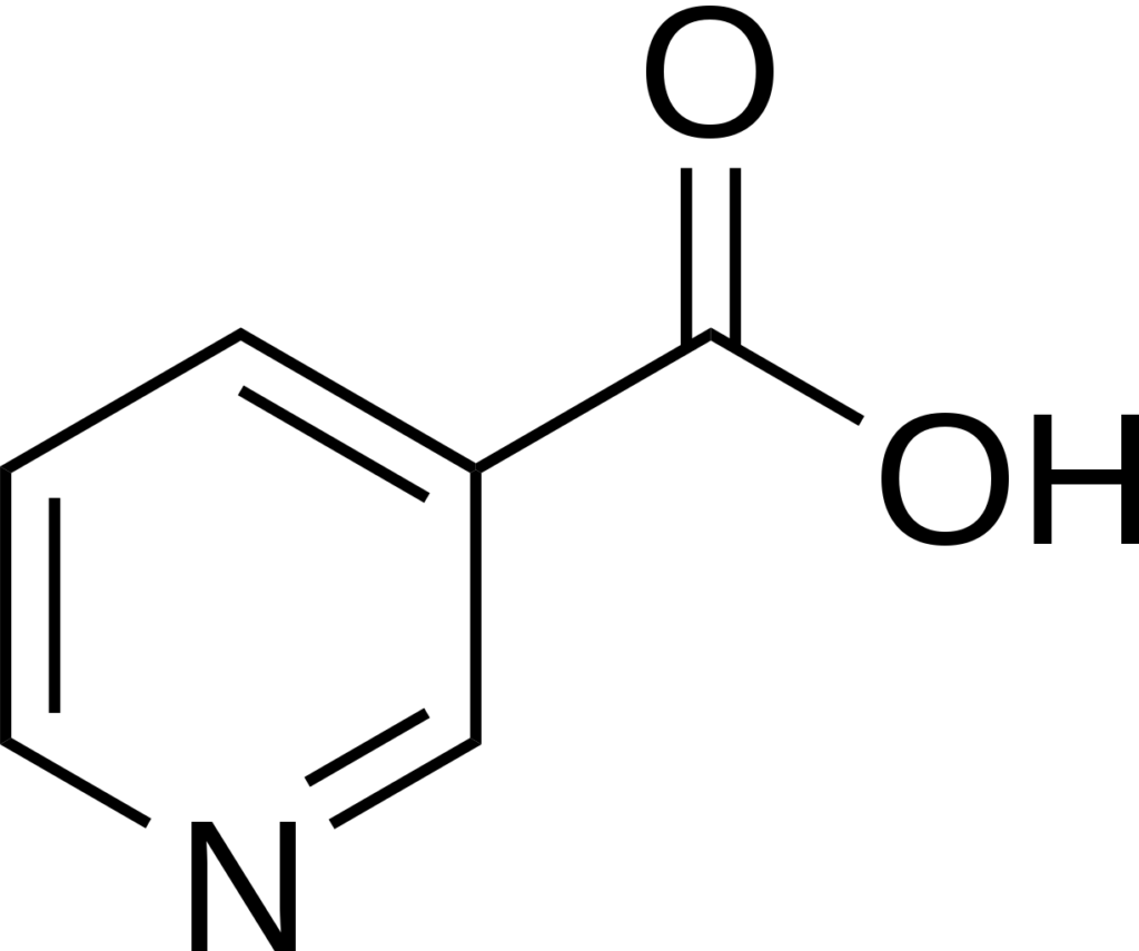 Niacin vitamin B3 ingredient in EndoPump